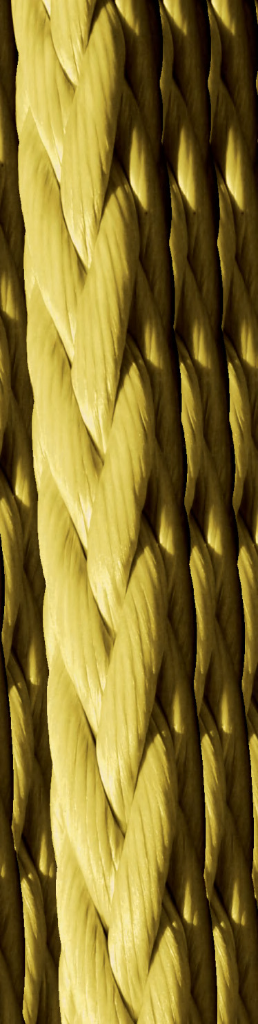 POWERNEEMA RRR variant 2